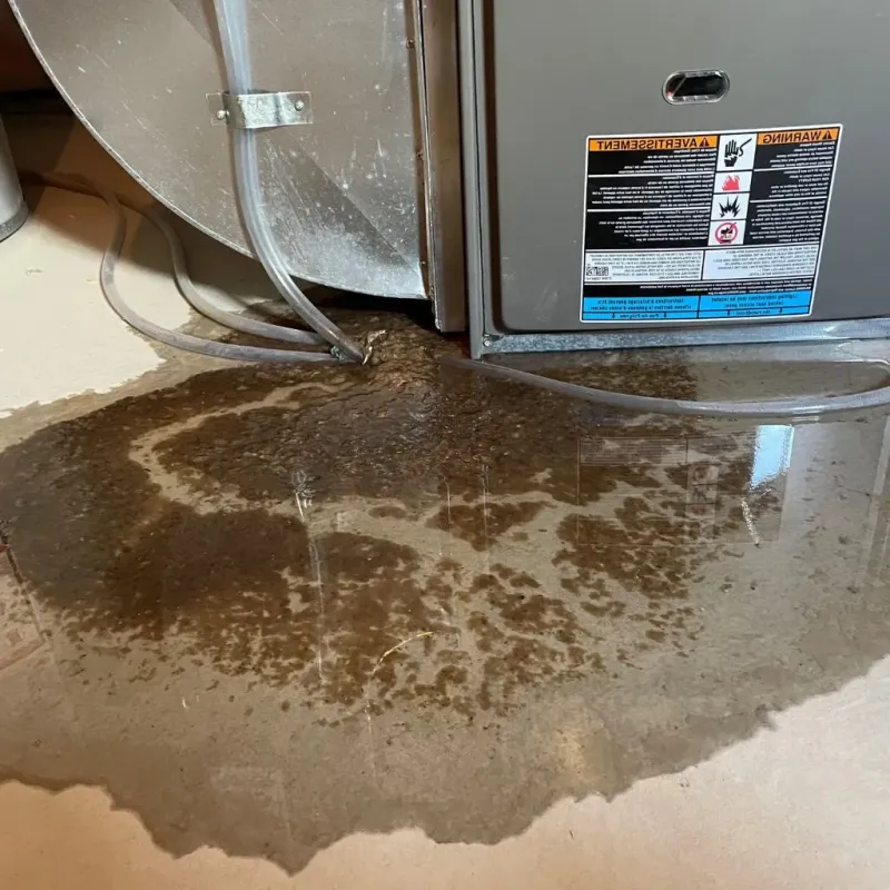 Pipe Burst and Leak Restoration in Spring Ridge, PA