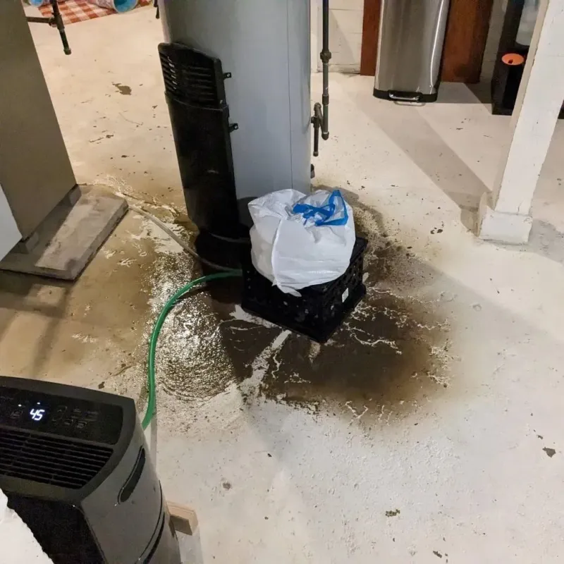 Sewage Backup Cleanup Service in Spring Ridge, PA